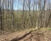 Lower Schooner Road, Nashville, Indiana 47448,MLS,202514263