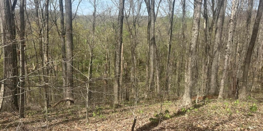 Lower Schooner Road, Nashville, Indiana 47448,MLS,202514263