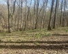 Lower Schooner Road, Nashville, Indiana 47448,MLS,202514263