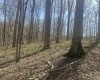 Lower Schooner Road, Nashville, Indiana 47448,MLS,202514263