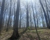 Lower Schooner Road, Nashville, Indiana 47448,MLS,202514263