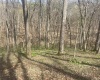 Lower Schooner Road, Nashville, Indiana 47448,MLS,202514263