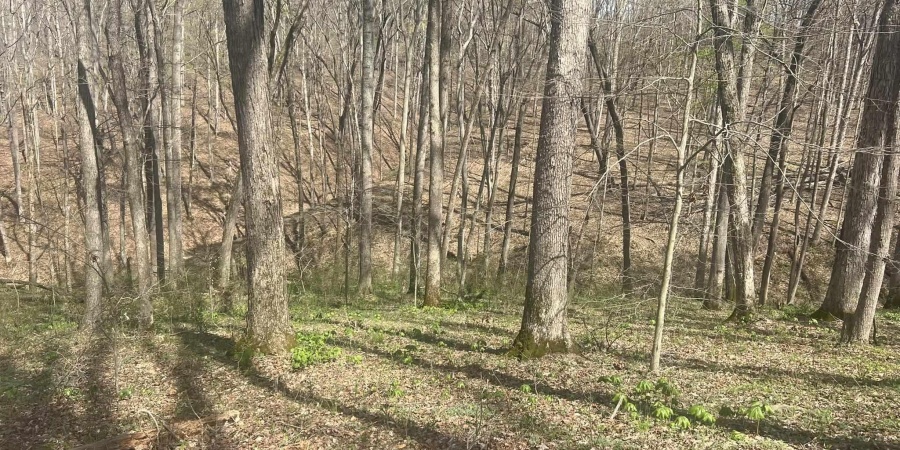 Lower Schooner Road, Nashville, Indiana 47448,MLS,202514263
