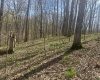 Lower Schooner Road, Nashville, Indiana 47448,MLS,202514263