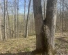 Lower Schooner Road, Nashville, Indiana 47448,MLS,202514263