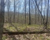 Lower Schooner Road, Nashville, Indiana 47448,MLS,202514263