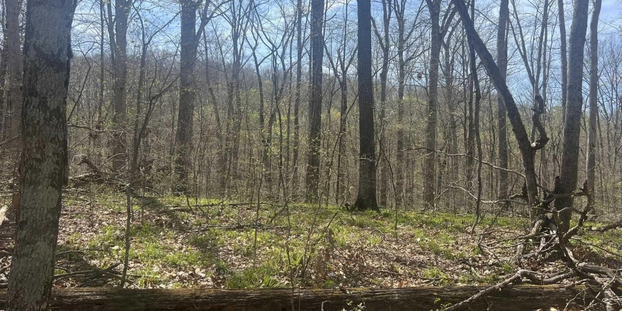 Lower Schooner Road, Nashville, Indiana 47448,MLS,202514263