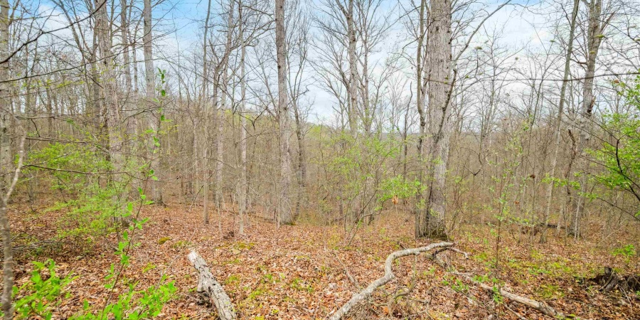 Lower Schooner Road, Nashville, Indiana 47448,MLS,202514263