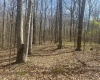 Lower Schooner Road, Nashville, Indiana 47448,MLS,202514263