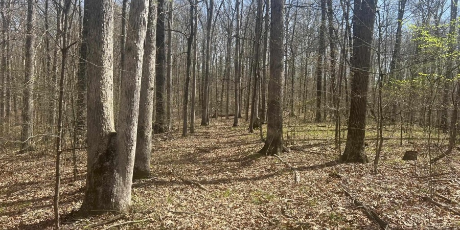 Lower Schooner Road, Nashville, Indiana 47448,MLS,202514263