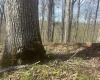 Lower Schooner Road, Nashville, Indiana 47448,MLS,202514263