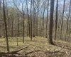 Lower Schooner Road, Nashville, Indiana 47448,MLS,202514263