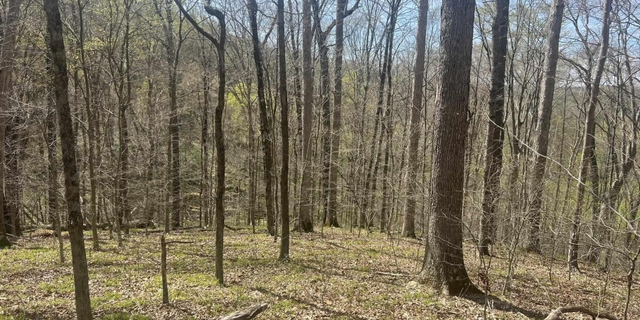 Lower Schooner Road, Nashville, Indiana 47448,MLS,202514263