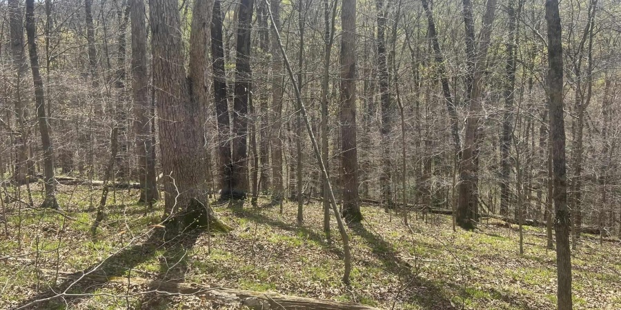 Lower Schooner Road, Nashville, Indiana 47448,MLS,202514263