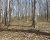 Lower Schooner Road, Nashville, Indiana 47448,MLS,202514263