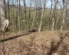 Lower Schooner Road, Nashville, Indiana 47448,MLS,202514263