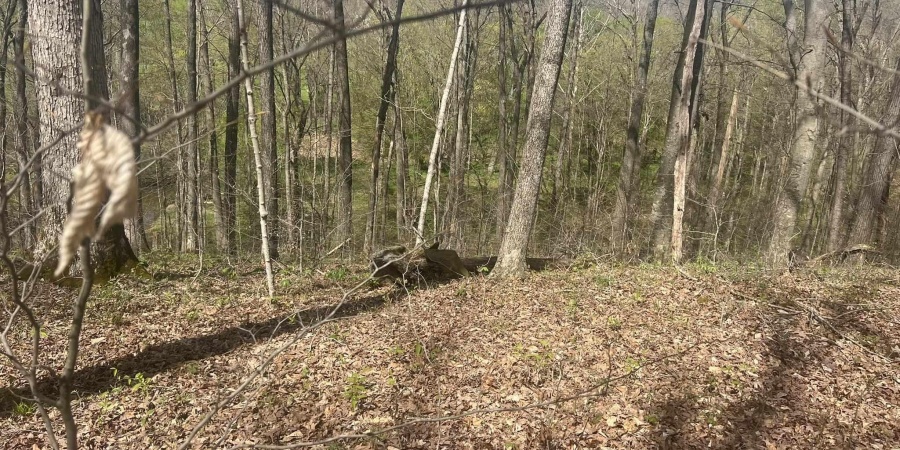 Lower Schooner Road, Nashville, Indiana 47448,MLS,202514263
