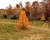 3324 Patrick Robbins Way, Bedford, Indiana 47421,MLS,202514676