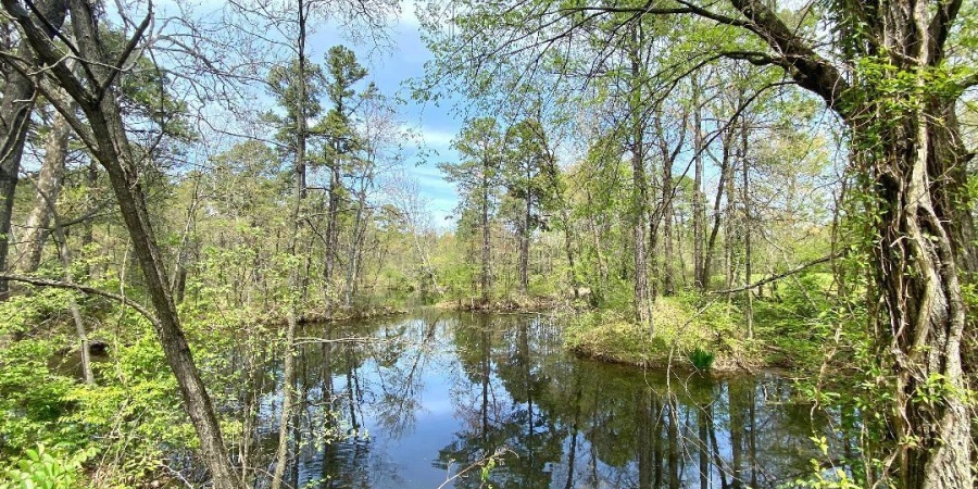1796 S St. Rd. 59 S Highway, Linton, Indiana 47441,MLS,202514844