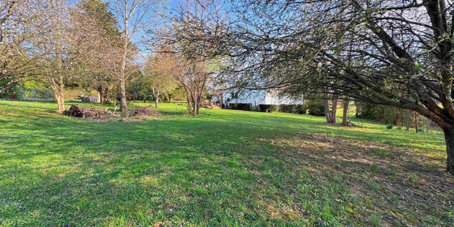 966 Peerless Road, Bedford, Indiana 47421,MLS,202514994