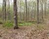 12.6 Acres Deer Lake Drive, Bloomfield, Indiana 47424,MLS,202515163