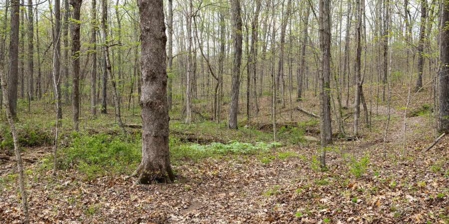 12.6 Acres Deer Lake Drive, Bloomfield, Indiana 47424,MLS,202515163