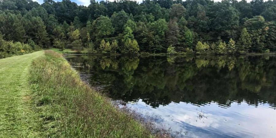 12.6 Acres Deer Lake Drive, Bloomfield, Indiana 47424,MLS,202515163