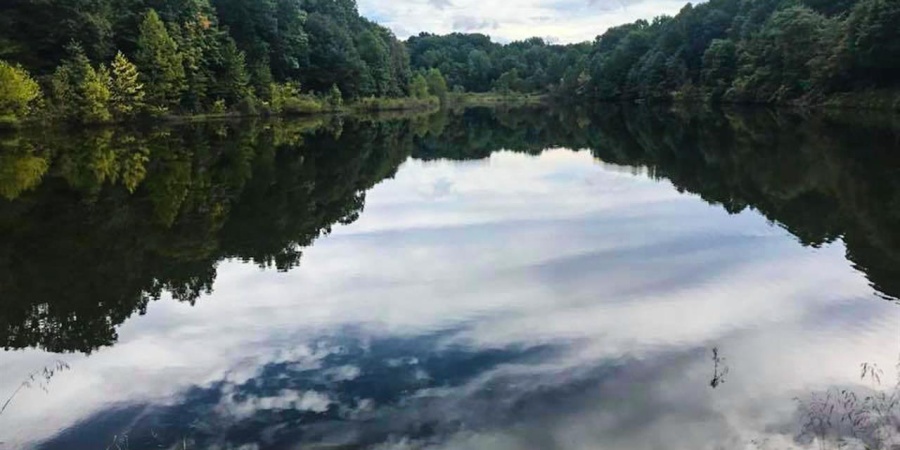 12.6 Acres Deer Lake Drive, Bloomfield, Indiana 47424,MLS,202515163
