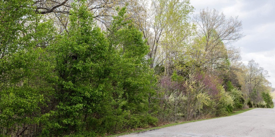 12.6 Acres Deer Lake Drive, Bloomfield, Indiana 47424,MLS,202515163