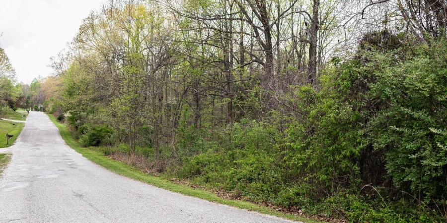 12.6 Acres Deer Lake Drive, Bloomfield, Indiana 47424,MLS,202515163