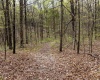 12.6 Acres Deer Lake Drive, Bloomfield, Indiana 47424,MLS,202515163
