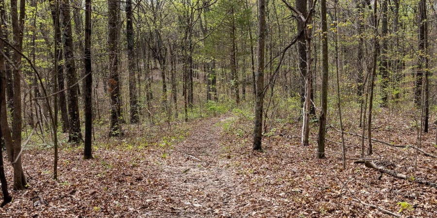 12.6 Acres Deer Lake Drive, Bloomfield, Indiana 47424,MLS,202515163