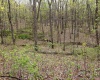 12.6 Acres Deer Lake Drive, Bloomfield, Indiana 47424,MLS,202515163
