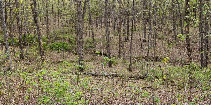 12.6 Acres Deer Lake Drive, Bloomfield, Indiana 47424,MLS,202515163