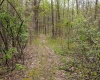 12.6 Acres Deer Lake Drive, Bloomfield, Indiana 47424,MLS,202515163