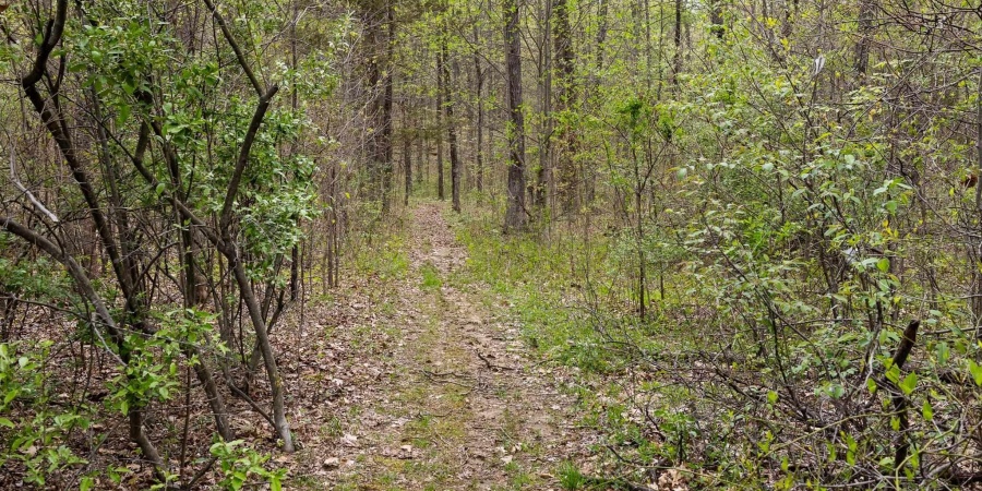 12.6 Acres Deer Lake Drive, Bloomfield, Indiana 47424,MLS,202515163