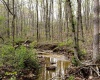 12.6 Acres Deer Lake Drive, Bloomfield, Indiana 47424,MLS,202515163