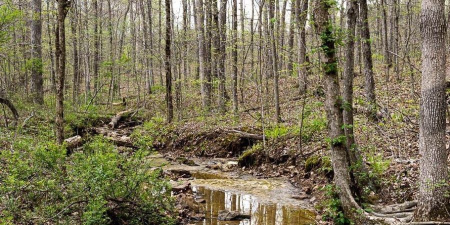 12.6 Acres Deer Lake Drive, Bloomfield, Indiana 47424,MLS,202515163