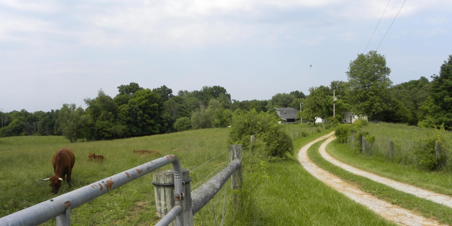 8207 Lehman Road, Worthington, Indiana 47471,MLS,202515799