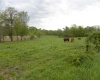 8207 Lehman Road, Worthington, Indiana 47471,MLS,202515799