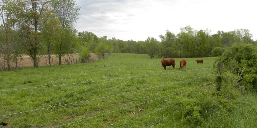 8207 Lehman Road, Worthington, Indiana 47471,MLS,202515799