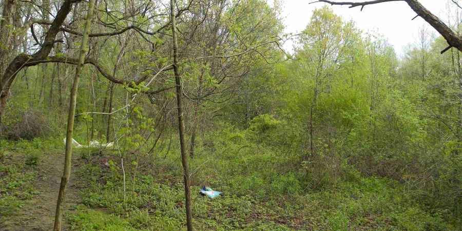 8207 Lehman Road, Worthington, Indiana 47471,MLS,202515799