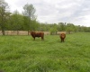8207 Lehman Road, Worthington, Indiana 47471,MLS,202515799
