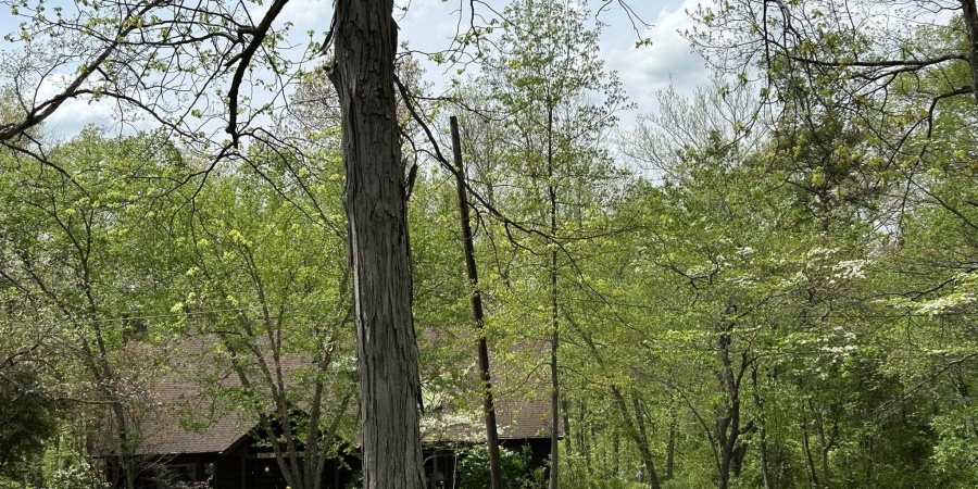585 Artist Drive, Nashville, Indiana 47448-8106,MLS,202515841