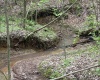 0 fiscus Cemetery Road, Coal City, Indiana 47427,MLS,202516391