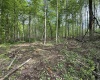 0 fiscus Cemetery Road, Coal City, Indiana 47427,MLS,202516391