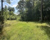 0 fiscus Cemetery Road, Coal City, Indiana 47427,MLS,202516391