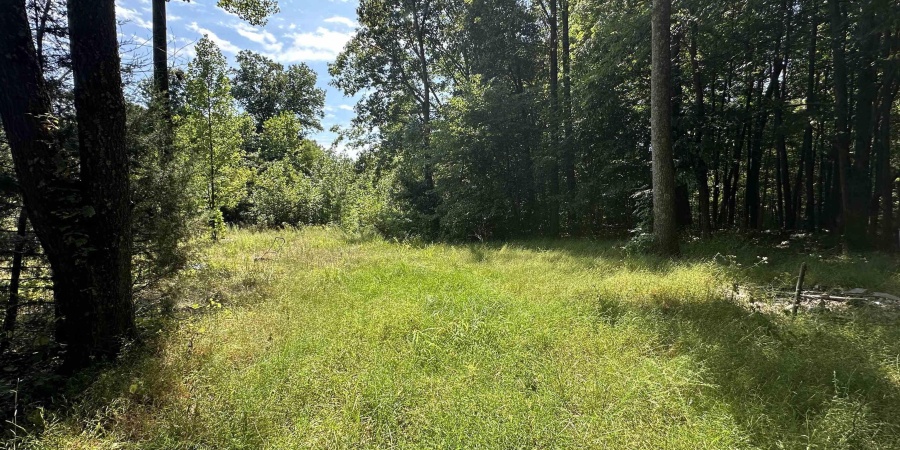 0 fiscus Cemetery Road, Coal City, Indiana 47427,MLS,202516391