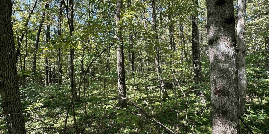 2 Fiscus Cemetery Road, Coal City, Indiana 47427,MLS,202516394