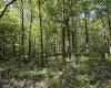 2 Fiscus Cemetery Road, Coal City, Indiana 47427,MLS,202516394